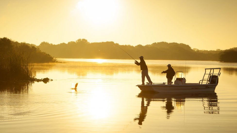 Central Florida's Hidden Gems Shine in the Summer - Central Florida's Hidden Gems Shine in the Summer