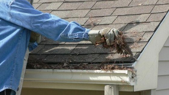 Ladder Safety Should Be Tops for Home Improvers - Ladder Safety Should Be Tops for Home Improvers