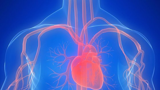 New Device Helps Protect Patients from Stroke During Heart Valve Replacement - New Device Helps Protect Patients from Stroke During Heart Valve Replacement